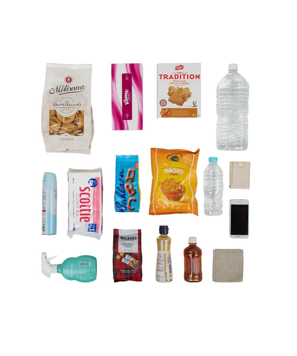 ACE BAGS & LUGGAGE soelte オートゥイユ お買い物キャリーバッグ 21L 機内持込 キャスターストッパー 36002 ソエルテ 