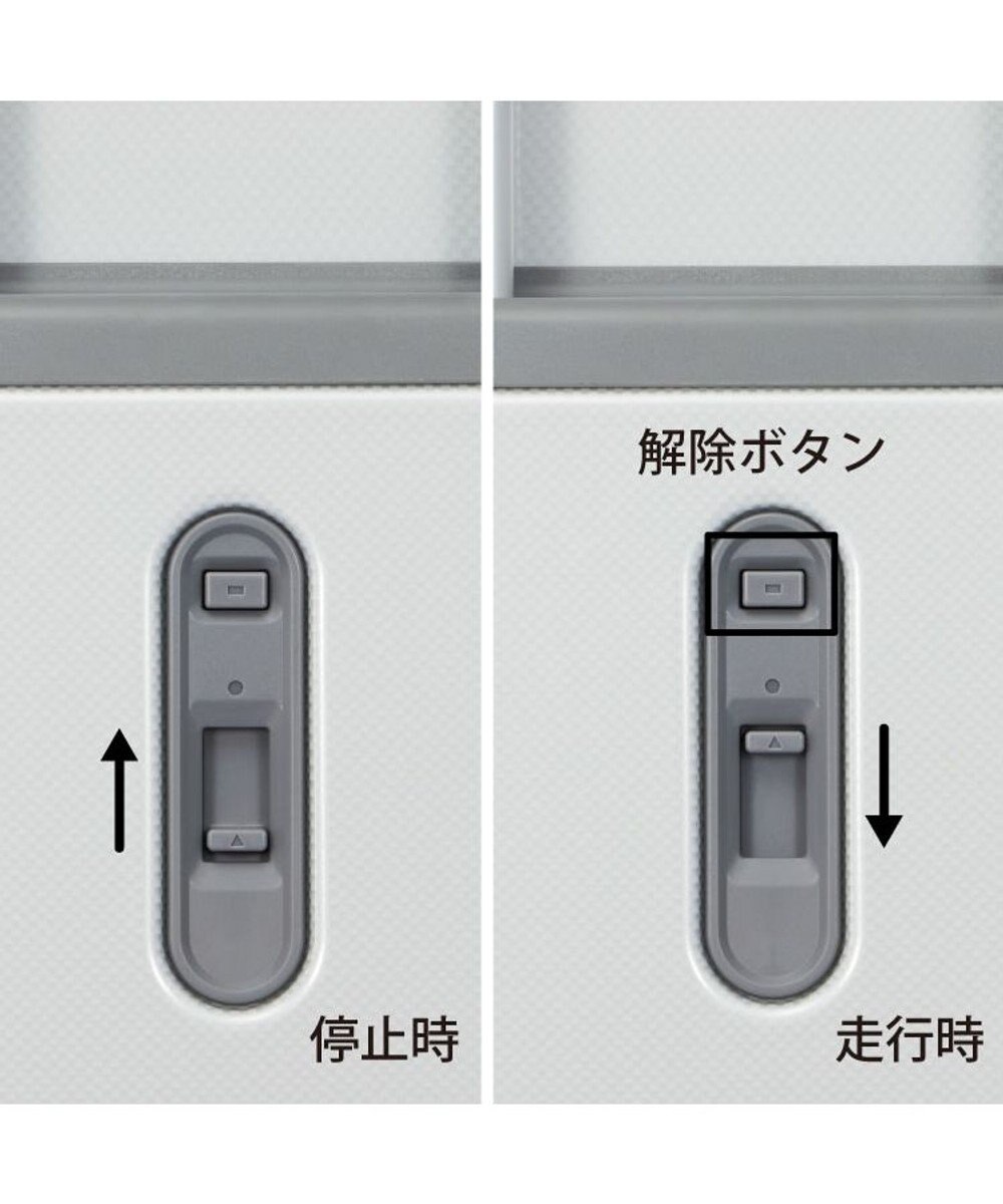 ACE BAGS & LUGGAGE ace. エース パリセイド3-Z 06913 スーツケース ジッパータイプ 32リットル 