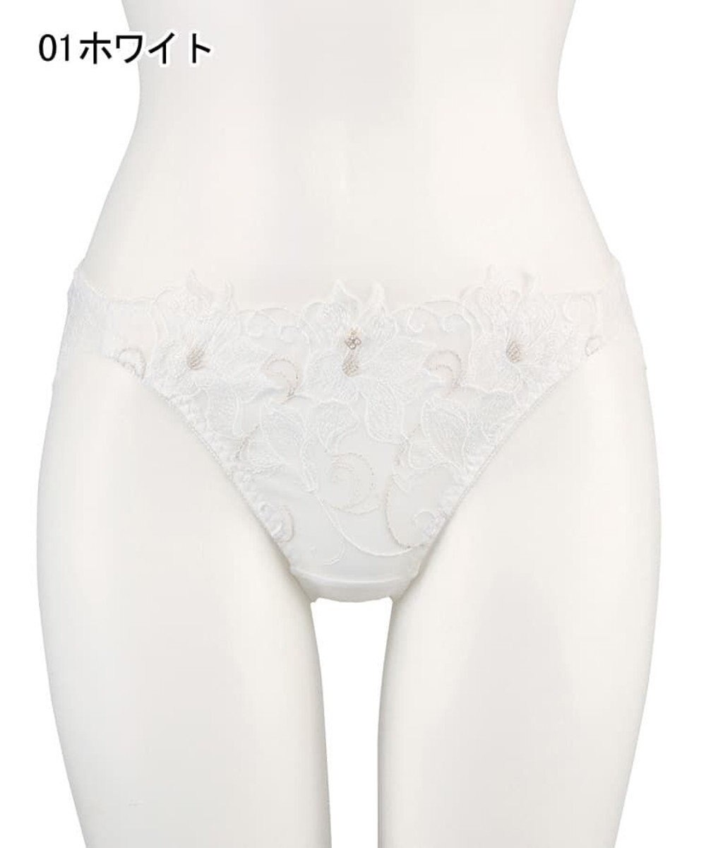 San-ai Resort（三愛水着楽園） エレガントコレクション2311ノーマルショーツ  【M・Lサイズ】【northerly】 