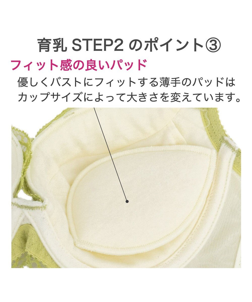 BRADELIS New York 【BRADELIS New York / 育乳補整ブラ・STEP2 寄せる】ナオミステップ2ブラ24S2 