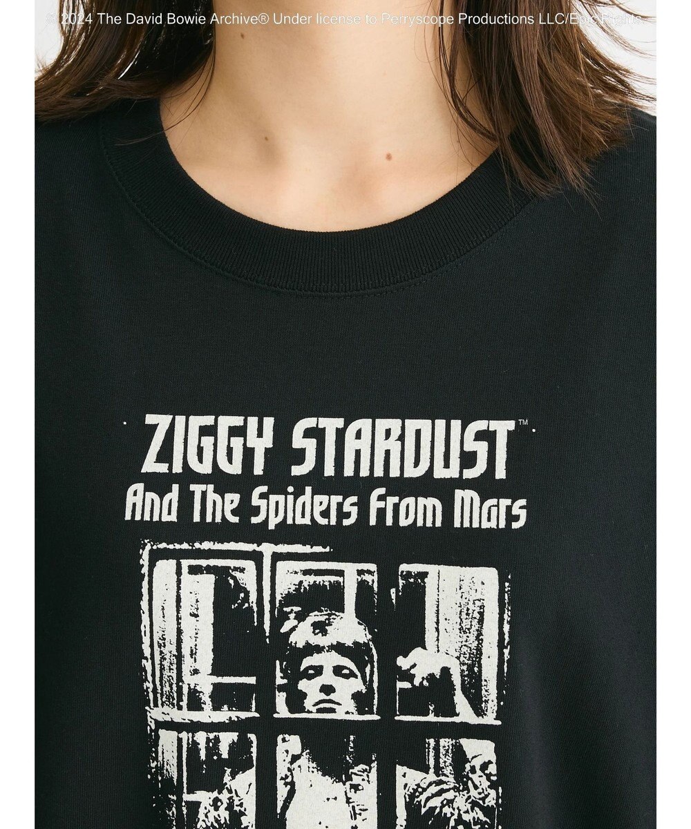 Green Parks ■Ｄａｖｉｄ　Ｂｏｗｉｅ　ＡＬＢＵＭ　ＣＯＶＥＲ　ＴＥＥ 