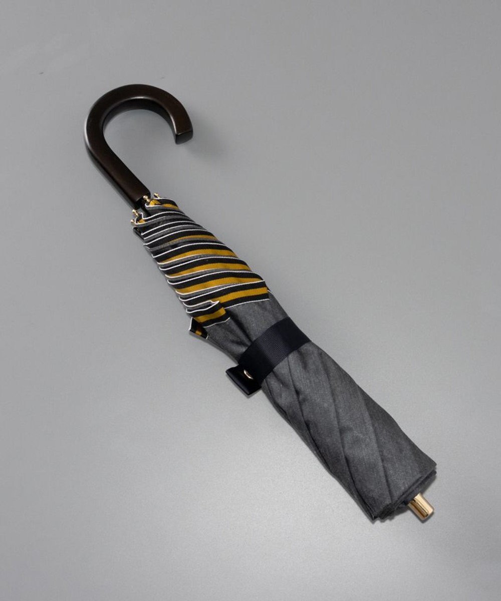 AURORA Beaurance （ビューランス）晴雨兼用傘（トップフラット） 