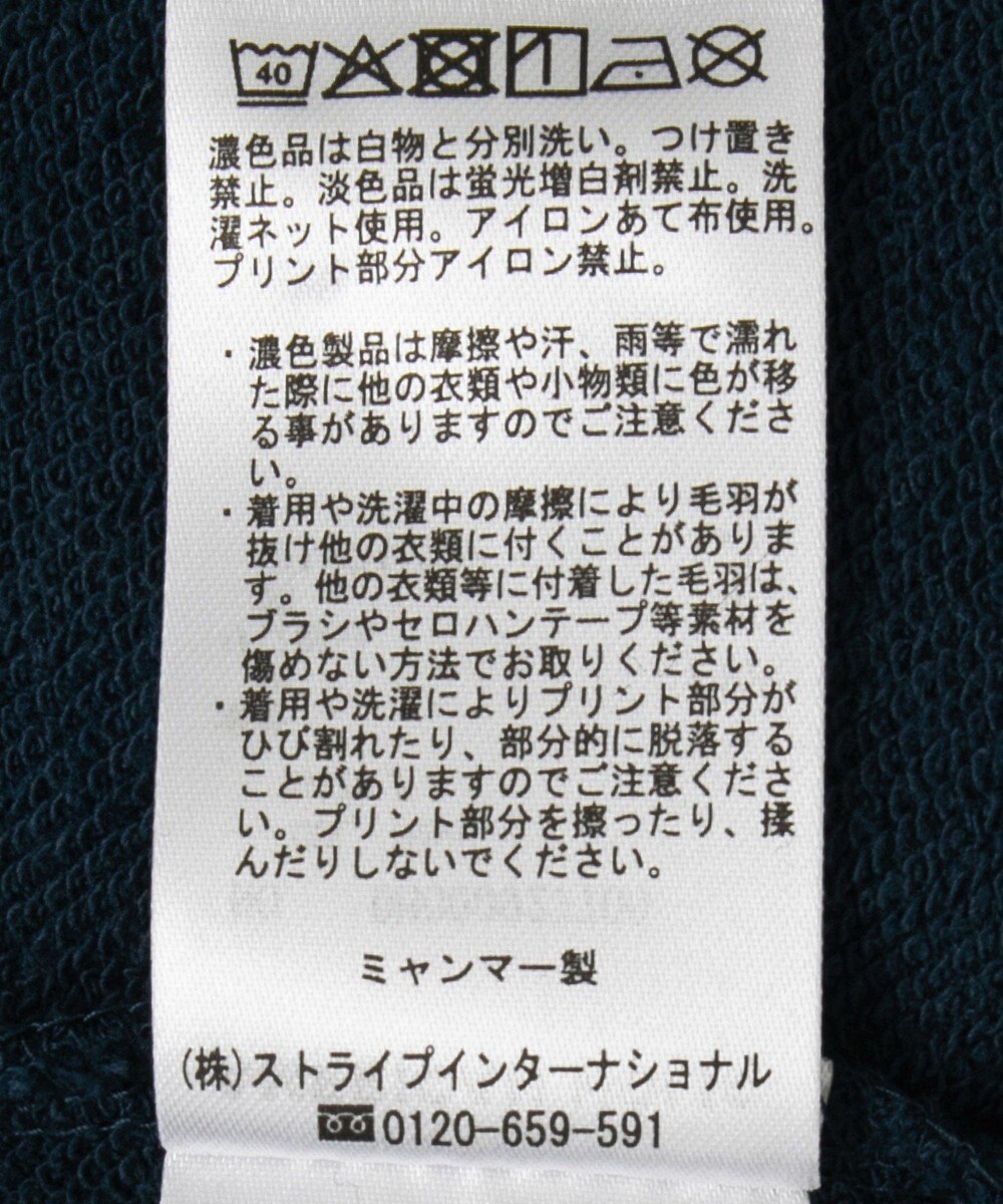 AMERICAN HOLIC 手書き風カレッジロゴ裏毛プルオーバー 