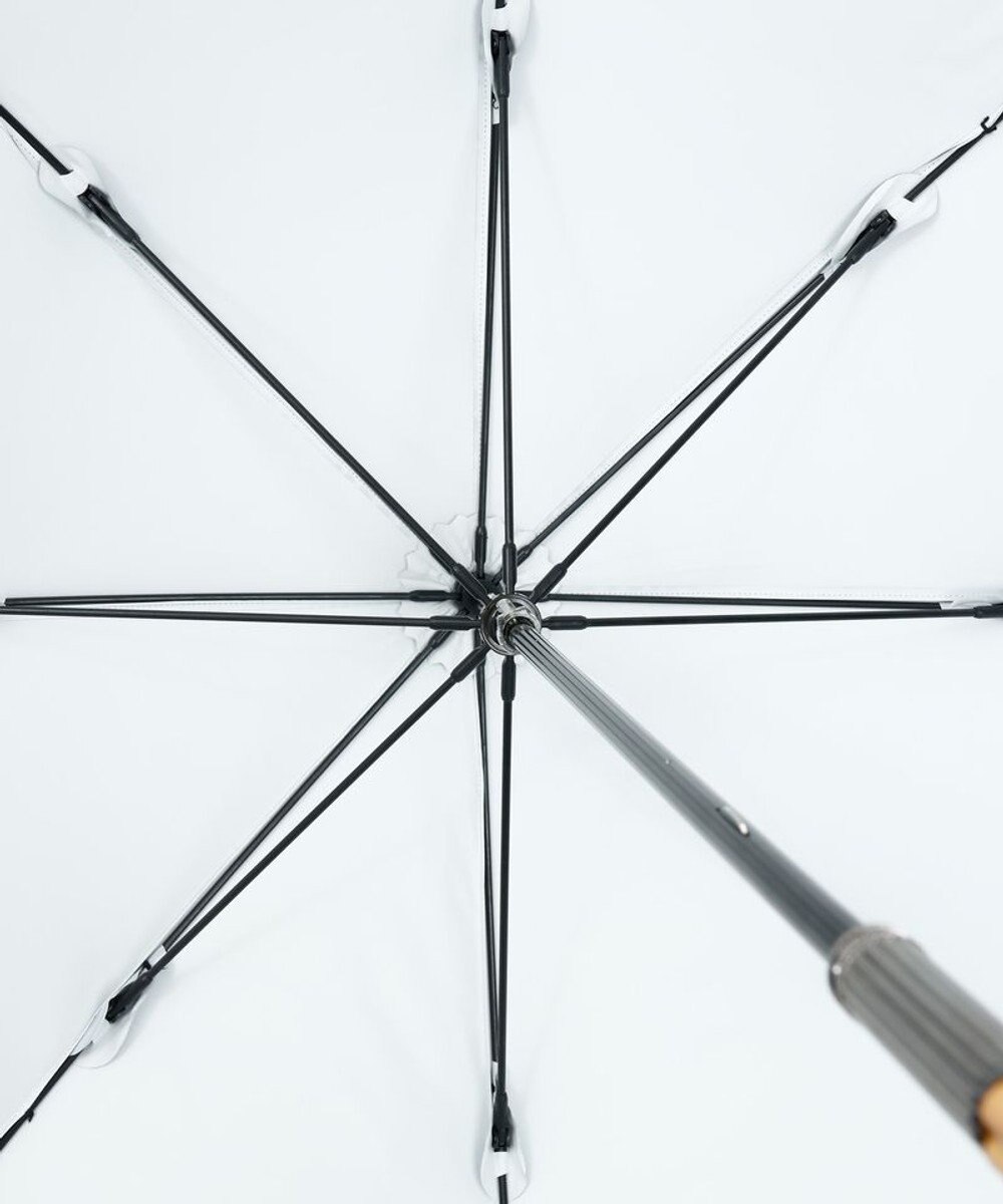 AURORA JILL STUART（ジル スチュアート）ミモザ刺しゅう晴雨兼用傘(長傘) 