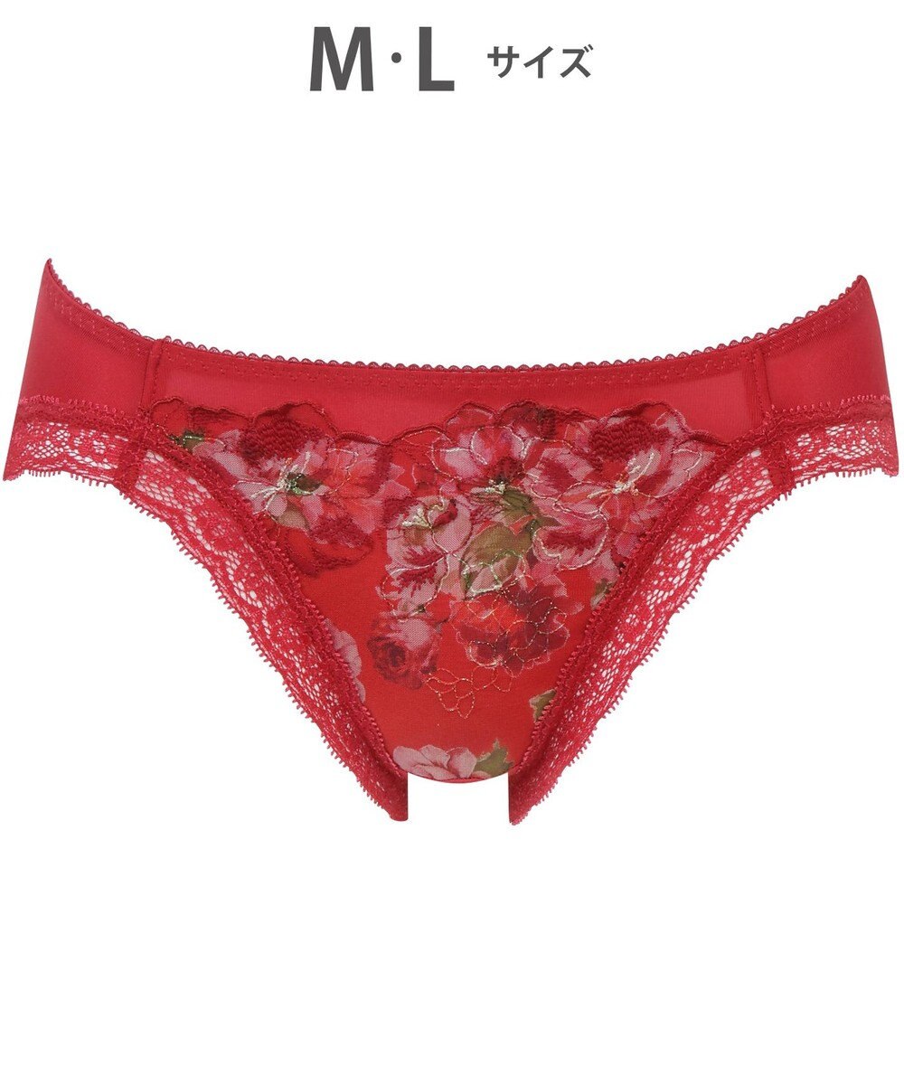 WACOAL ショーツ 【ハグするブラ】BRB488とペア はきこみ丈あさめ バックはナイロンベア天竺素材 レディース PRA188 /ワコール 