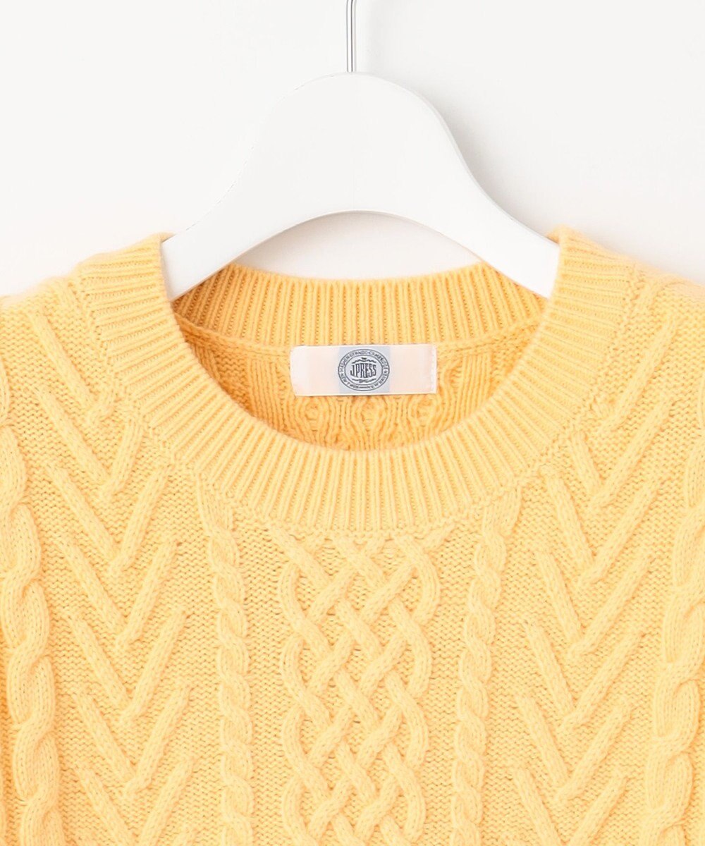 J.PRESS LADIES L 【WEB限定カラーあり・洗える】EIGER CORD ALAN クルーネックプルオーバー ニット 