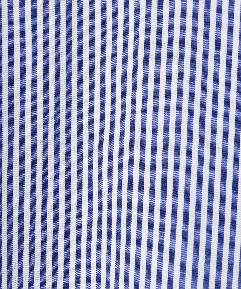 ANY 【POLO BCS別注】プレッピークロップドシャツ 