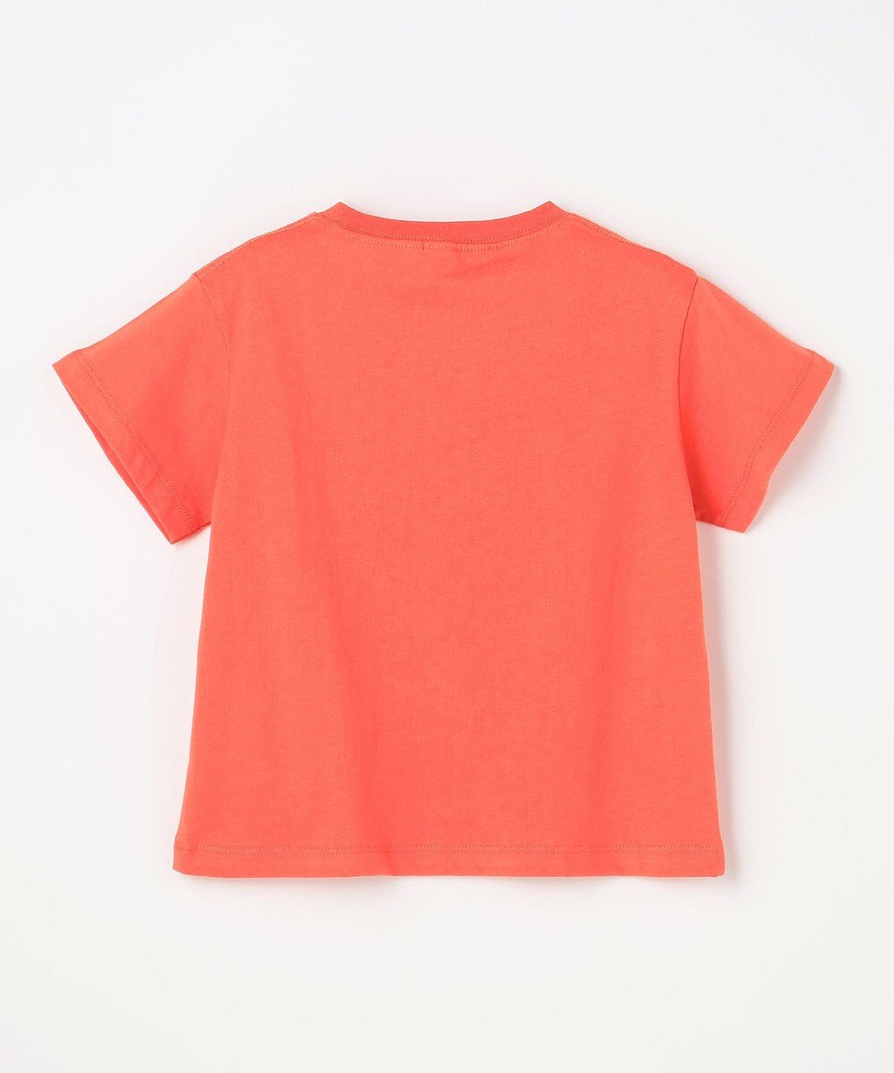 ANY KIDS 【洗濯機可能】恐竜プリント 半袖Tシャツ 