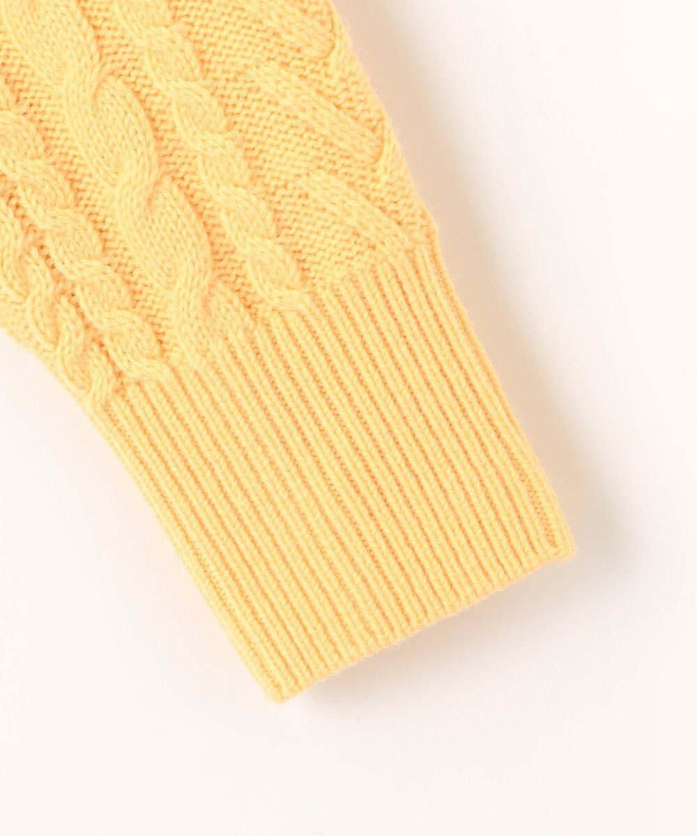 J.PRESS LADIES L 【WEB限定カラーあり・洗える】EIGER CORD ALAN クルーネックプルオーバー ニット 