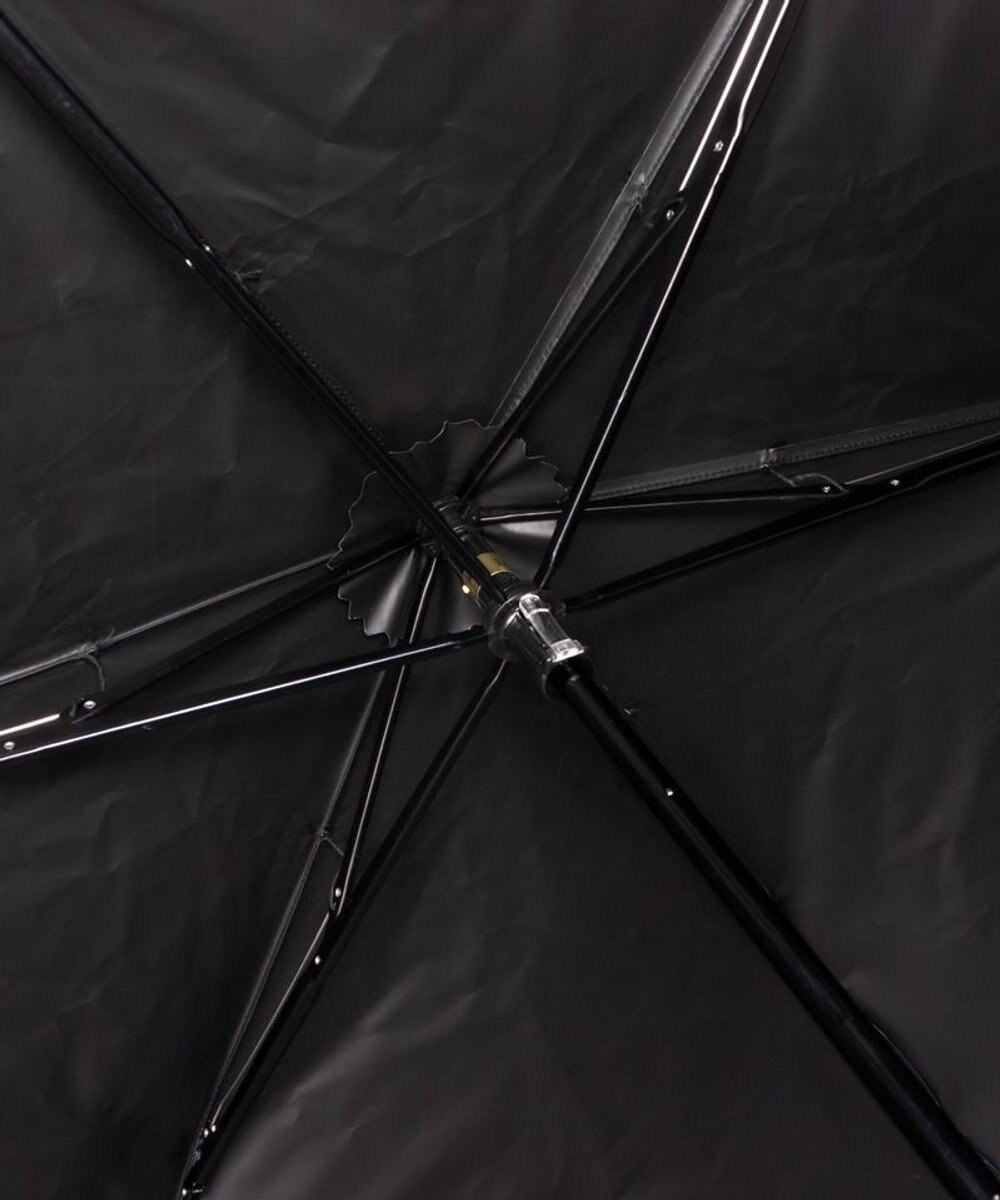 AURORA Beaurance ビューランス モノグラム柄 晴雨兼用傘 (トップフラット折傘) 