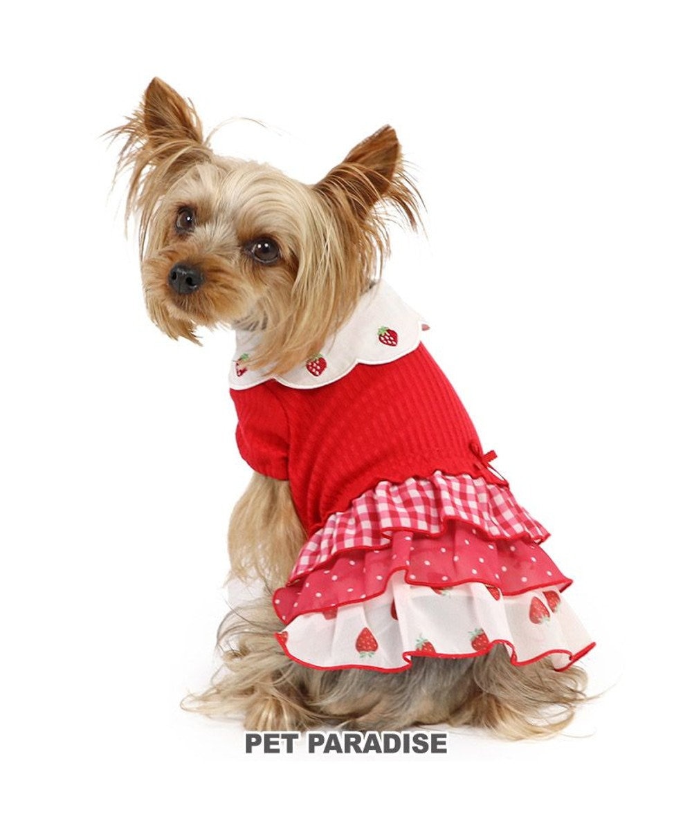 PET PARADISE ペットパラダイス 苺刺繍 ワンピース  スカラップカラー 《レッド》 小型犬 レッド