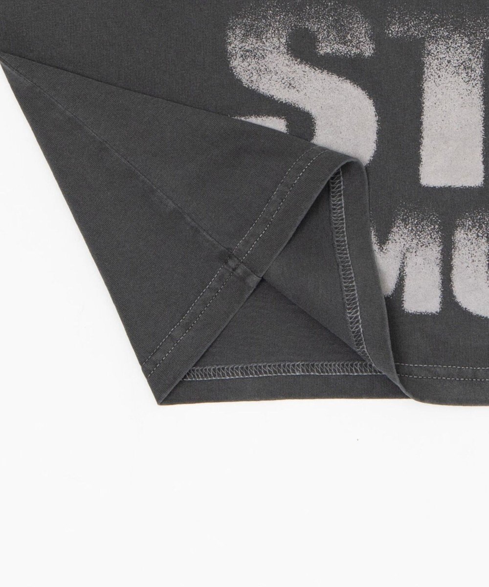 WEGO 【ユニセックス着用ITEM/MLサイズ展開】クロップドグラフィックT（SS） 