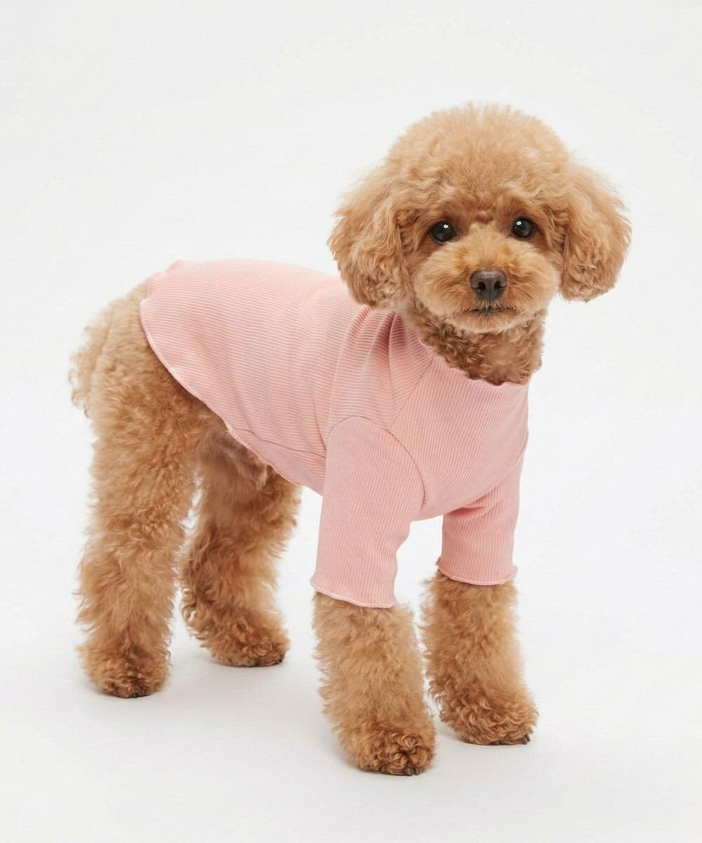 OP／FILA 【Ocean Pacific】メロウドッグウェア ペットウェア 