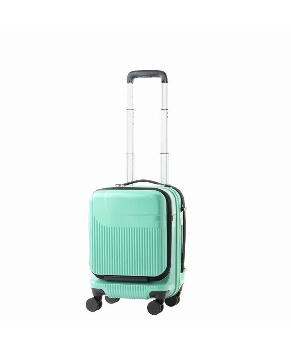 mint carry on luggage