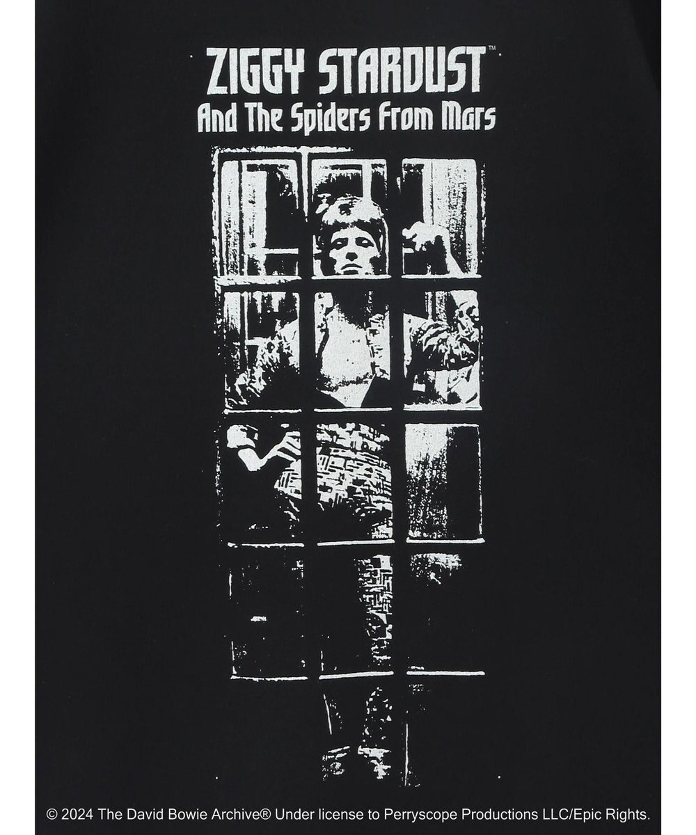 Green Parks ■Ｄａｖｉｄ　Ｂｏｗｉｅ　ＡＬＢＵＭ　ＣＯＶＥＲ　ＴＥＥ 