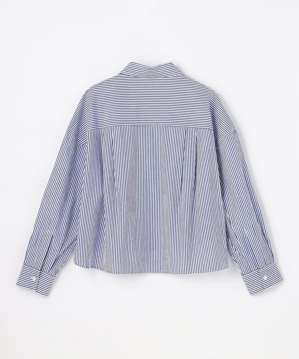 ANY 【POLO BCS別注】プレッピークロップドシャツ 