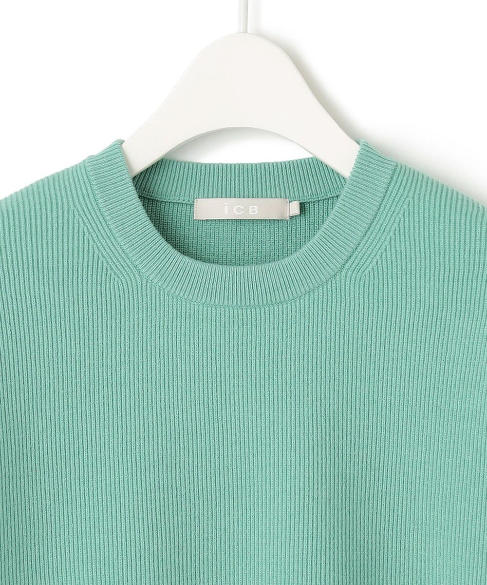 ICB 【洗える】 MIZUHIKI ニットプルオーバー 