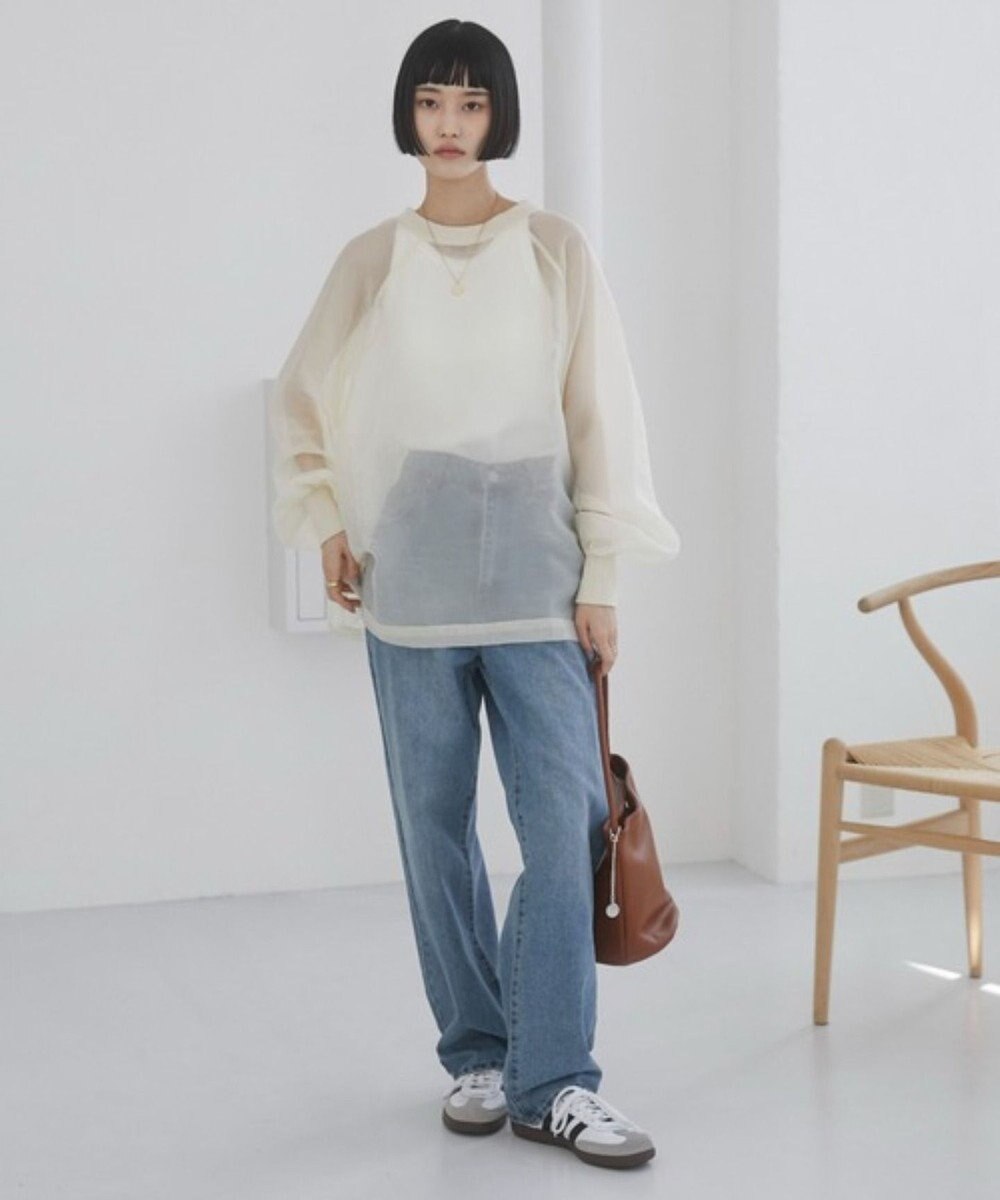 WEGO 【ANGIE VINTAGE】オーガンジープルオーバー 