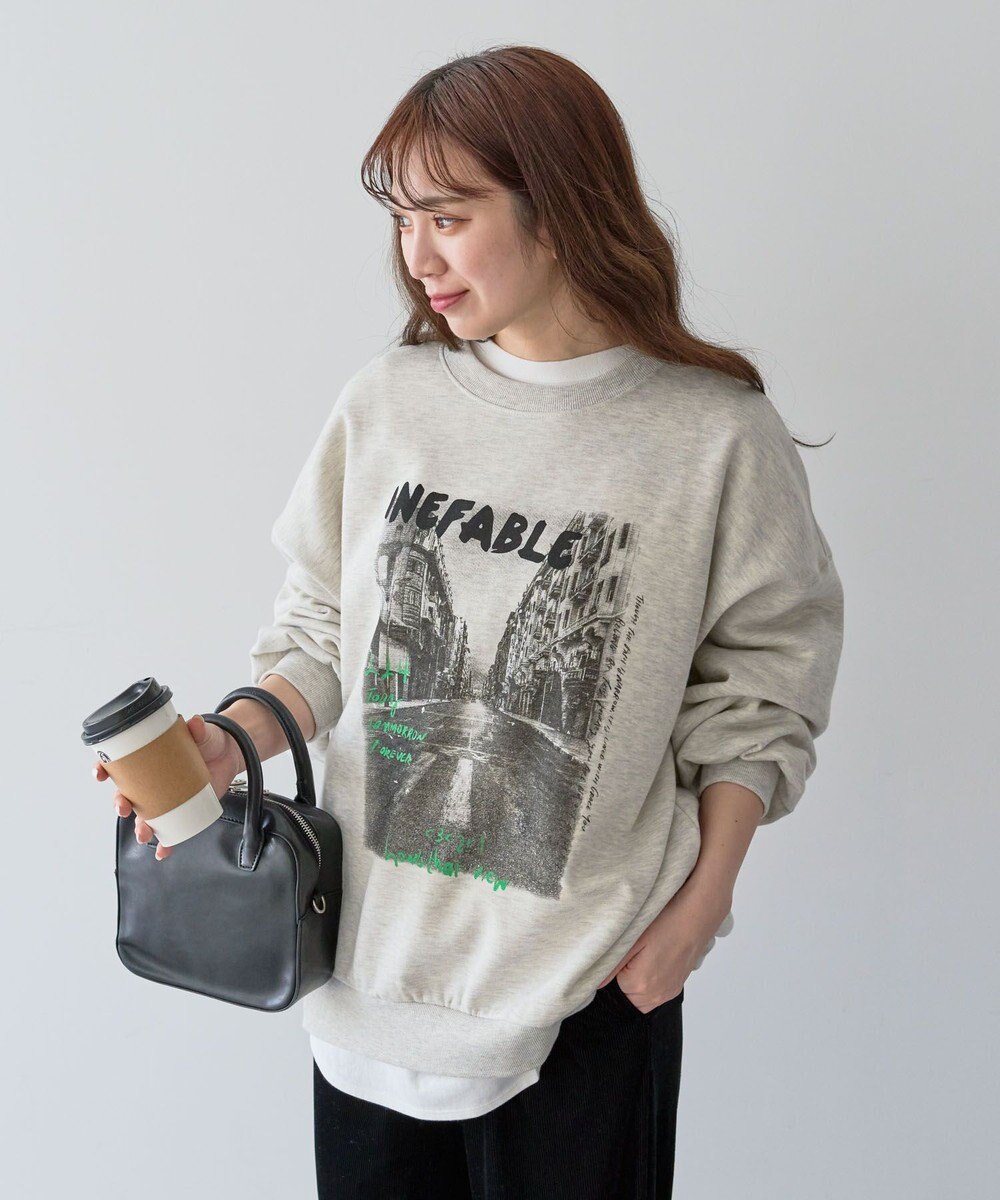 Green Parks ・ＤＯＵＢＬＥ　ＦＬＡＧＳ　フォトｐｔスウェット 