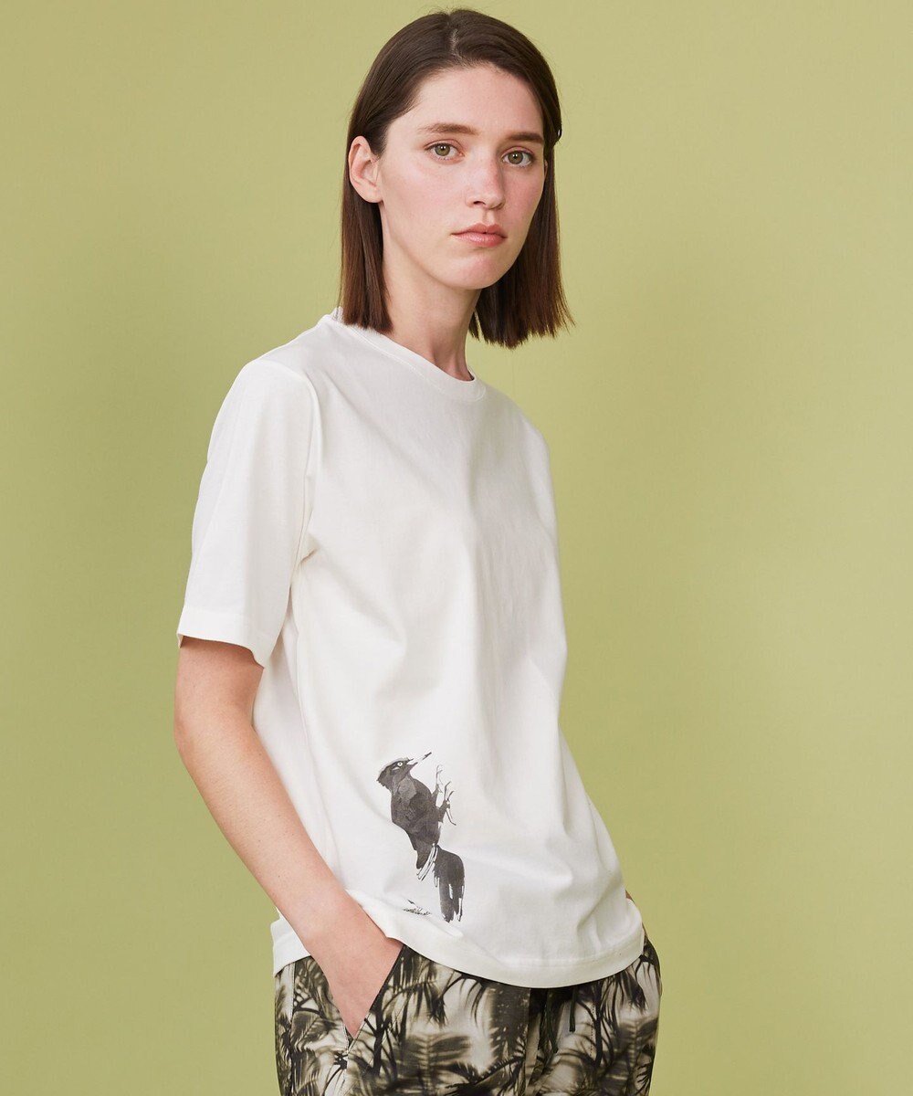 JOSEPH ABBOUD MOUNTAIN 【日本製・アーティストコラボレーション】プレーティング天竺Tシャツ 