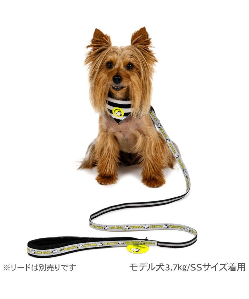 PET PARADISE スヌーピー ＪOE COOL 反射首輪 リーバシブル仕様 ＳＳ 