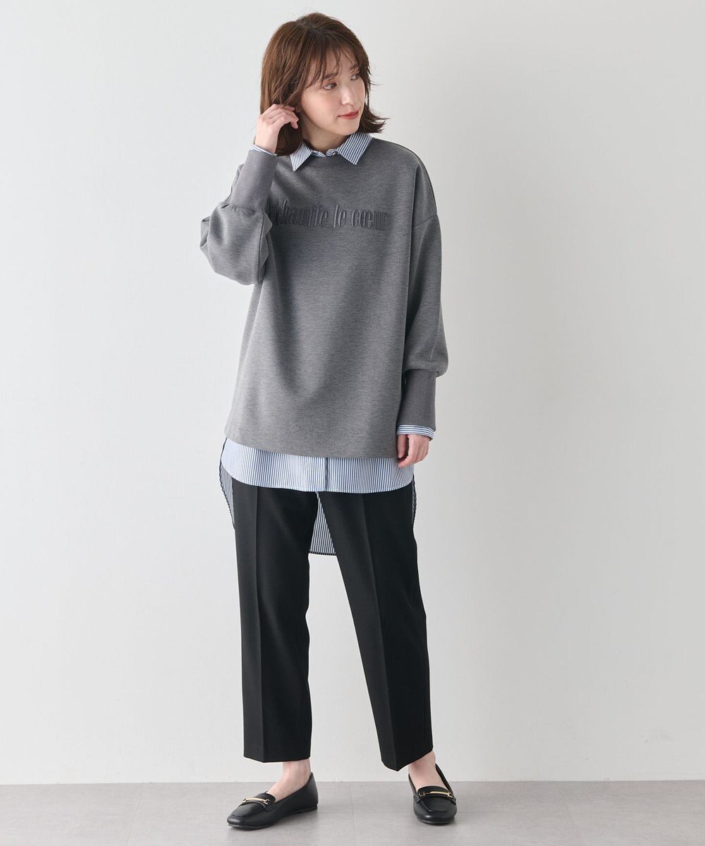 ANY L 【洗濯機可】エンブロイダリーロゴダンボールプルオーバー 