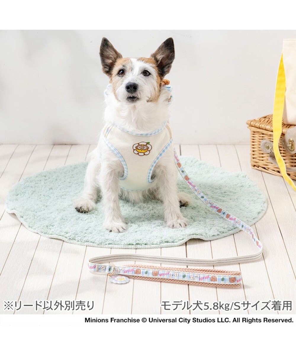 PET PARADISE ミニオン ティム お花柄 リード ＳＳ～Ｓ 