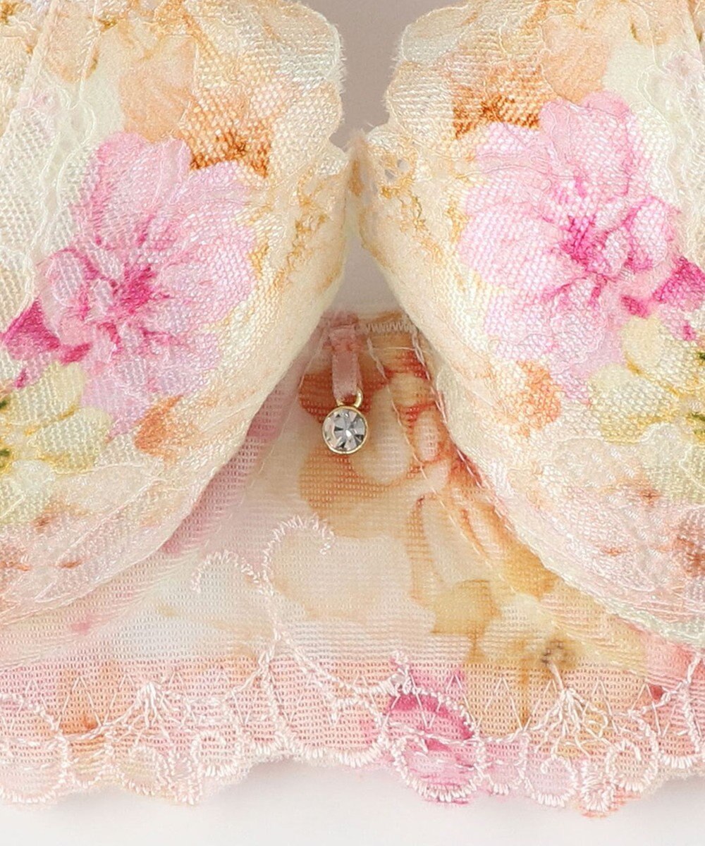 Wing ブラジャー Wing Lesiage サイドすっきり しっかりフィット 【2900シリーズ】 ブラ PB2900 ウイング／ワコール 