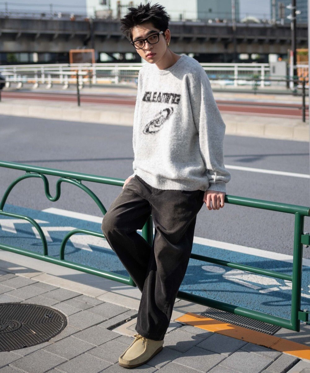 WEGO 【ユニセックス着用ITEM/MLサイズ展開】シャギーグラフィックプルオーバー 