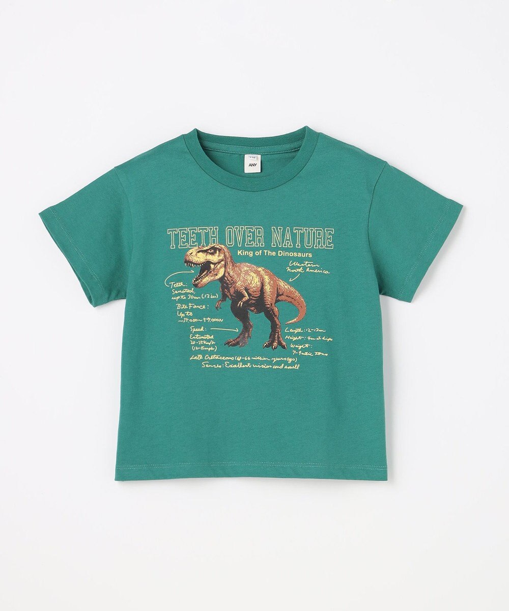 ANY KIDS 【洗濯機可能】恐竜プリント 半袖Tシャツ 