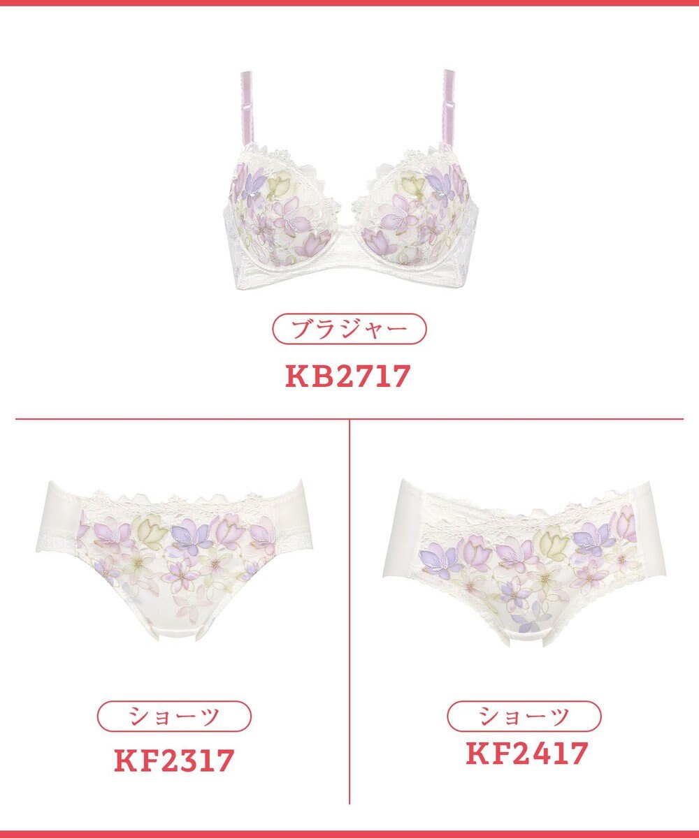 Wing 【後ろ姿きれいブラ】　背中の段差をスムージング　バストの脇流れをブロック　ウイング／ワコール　KB2717 