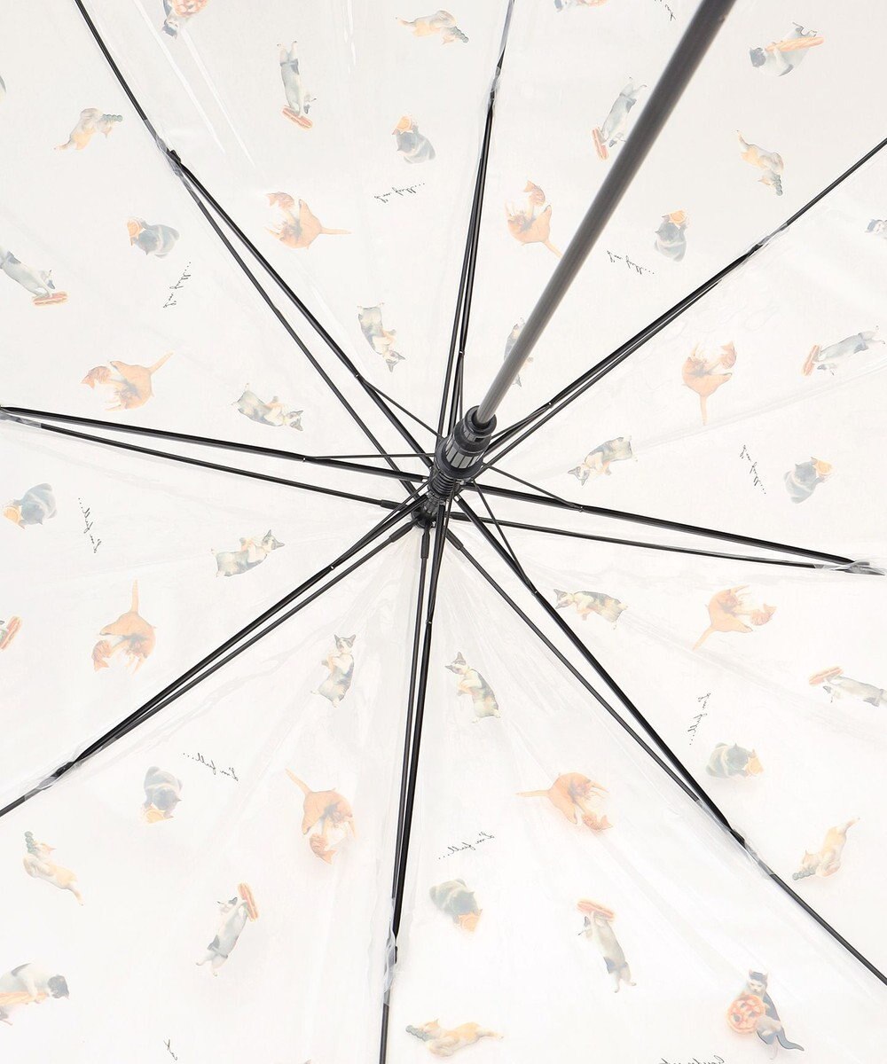 ANY SIS 【猫プリント】沖昌之プラスチックアンブレニャン 