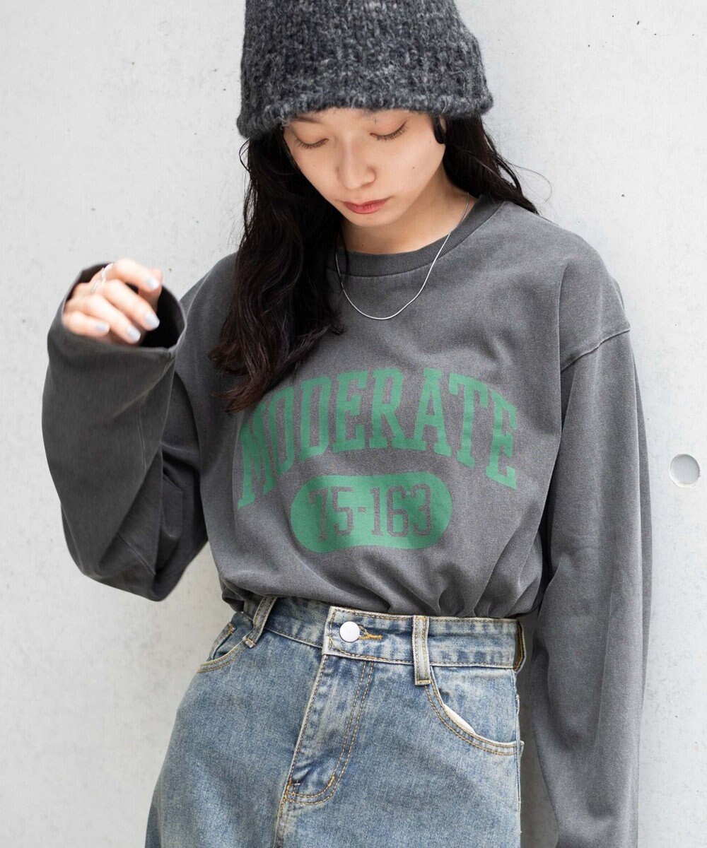 WEGO ピグメントロンT 