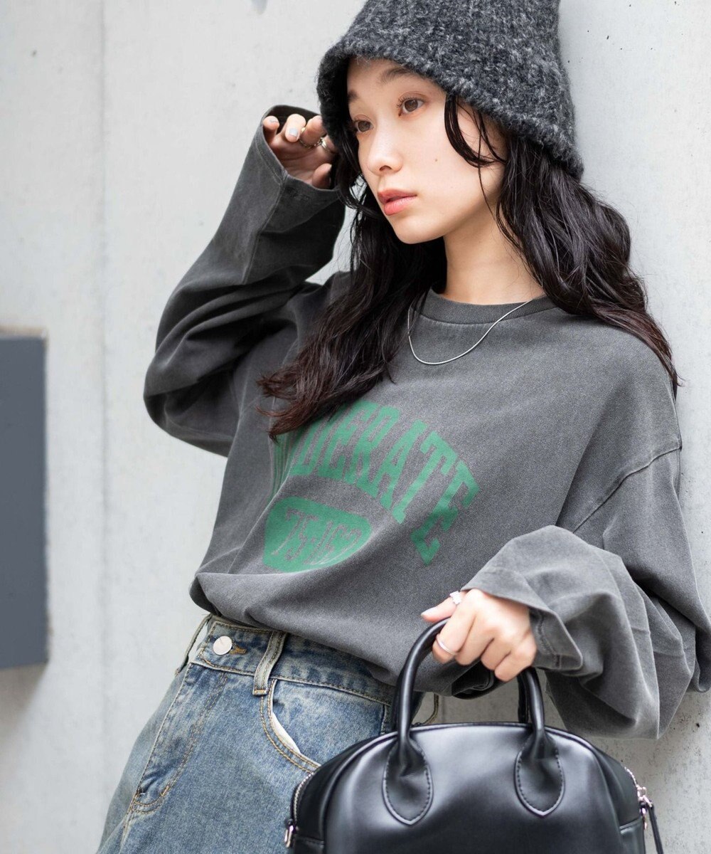 WEGO ピグメントロンT 