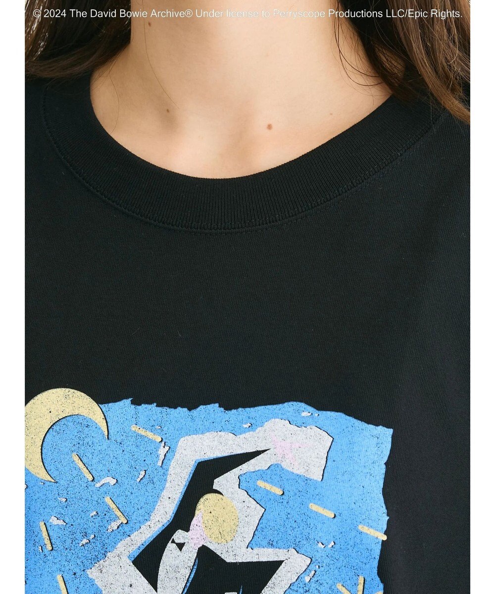 Green Parks ■Ｄａｖｉｄ　Ｂｏｗｉｅ　ＴＯＵＲ　ＴＥＥ 