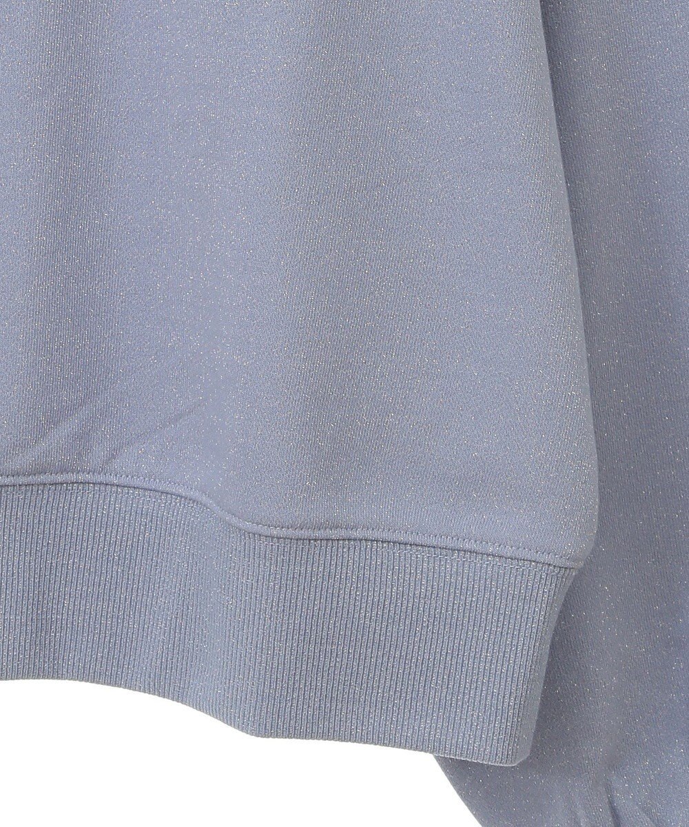 AMERICAN HOLIC ラメ裏毛プルオーバー 