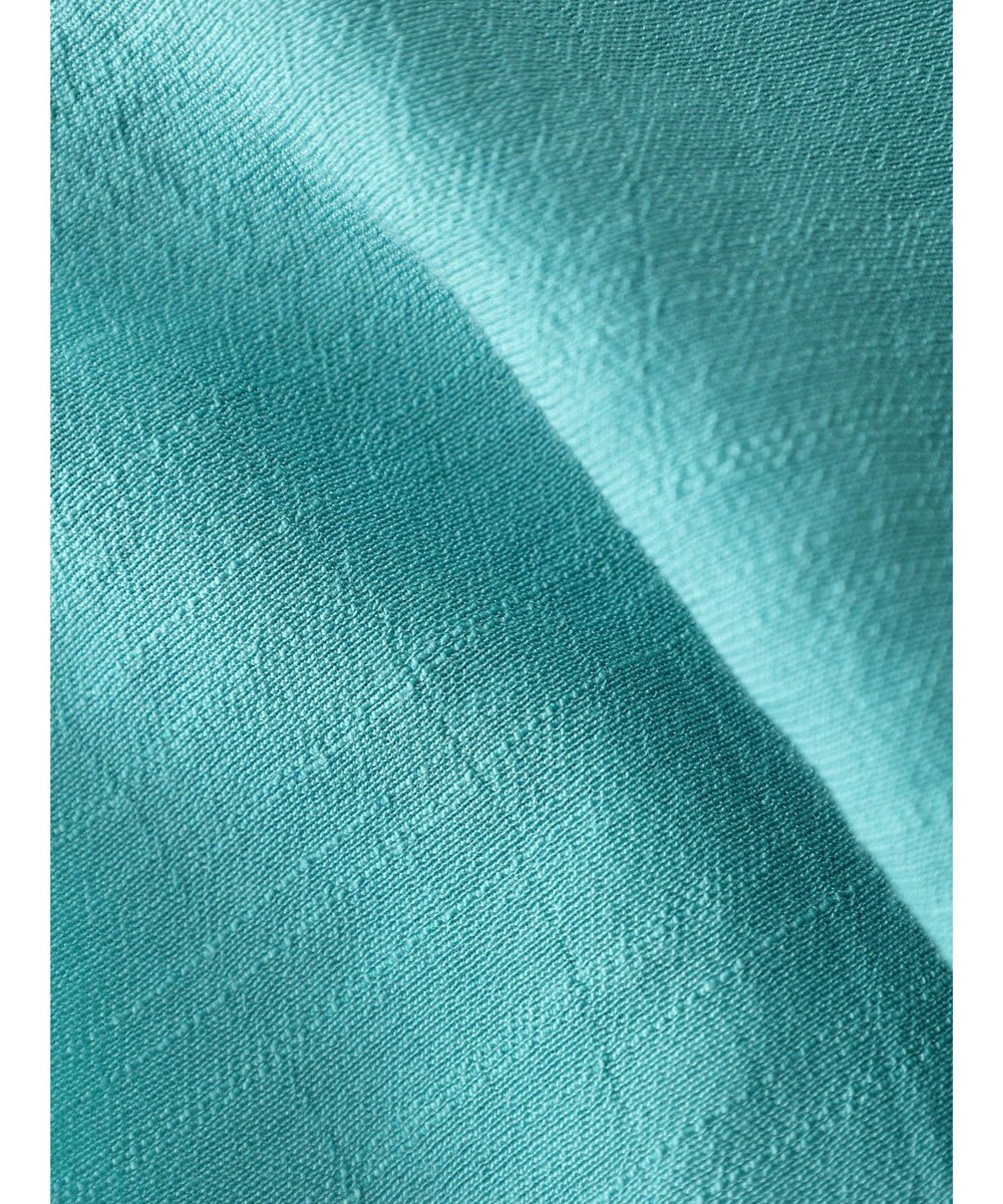 Green Parks ジャガードシアーシャツ 