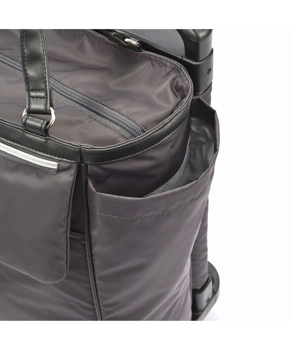 ACE BAGS & LUGGAGE soelte オートュイユ お買い物キャリー 21L 35981 ソエルテ ソフトスーツケース 