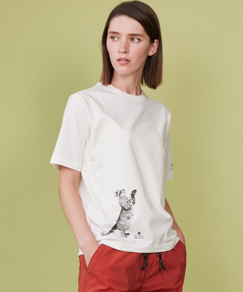 JOSEPH ABBOUD MOUNTAIN 【日本製・アーティストコラボレーション】プレーティング天竺Tシャツ 