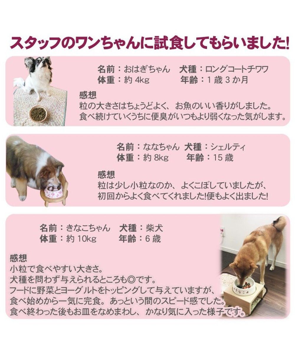 PET PARADISE ペットパラダイス  国産 ドッグフード フローラ3kg 