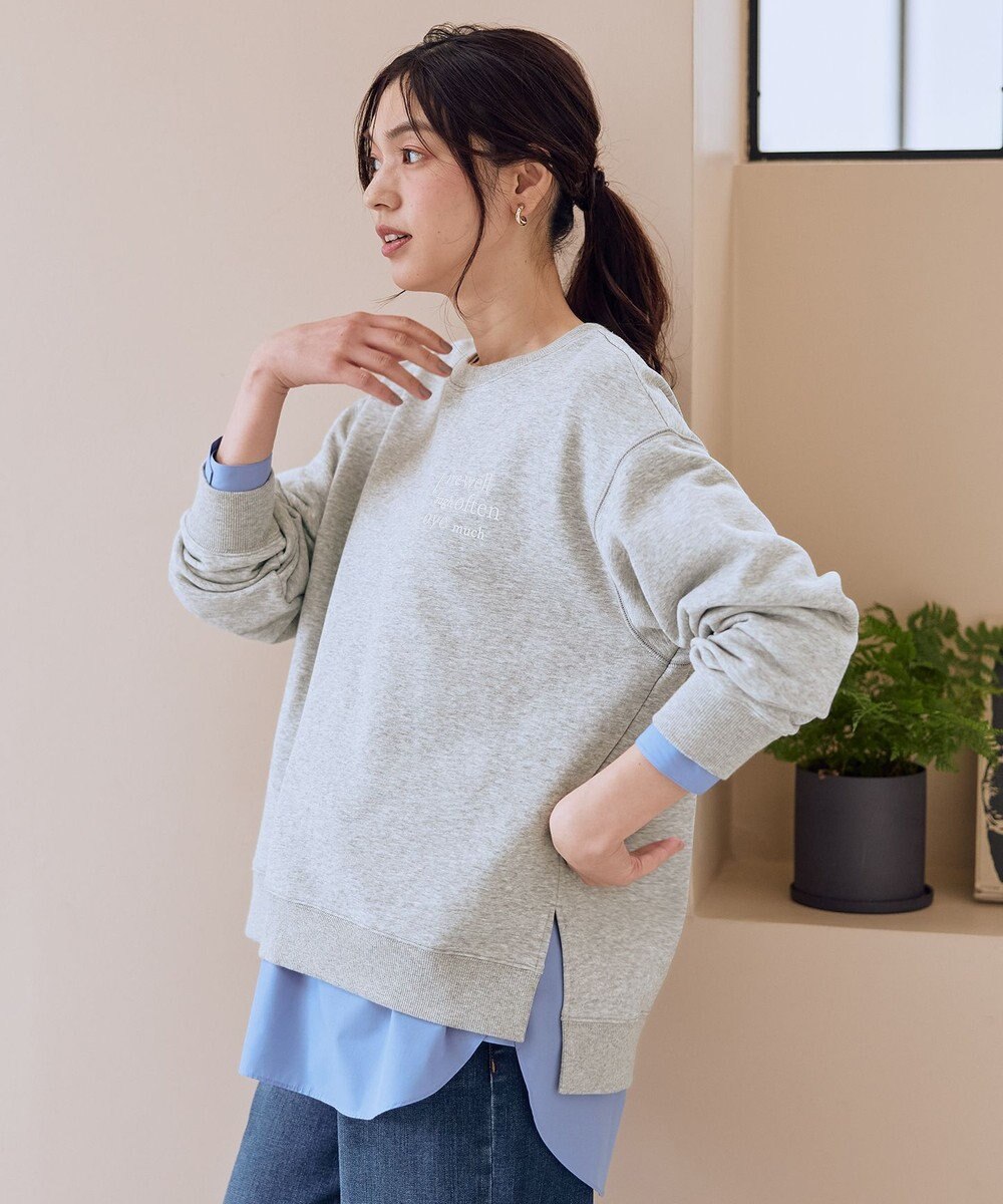 ANY ロゴスウェット 