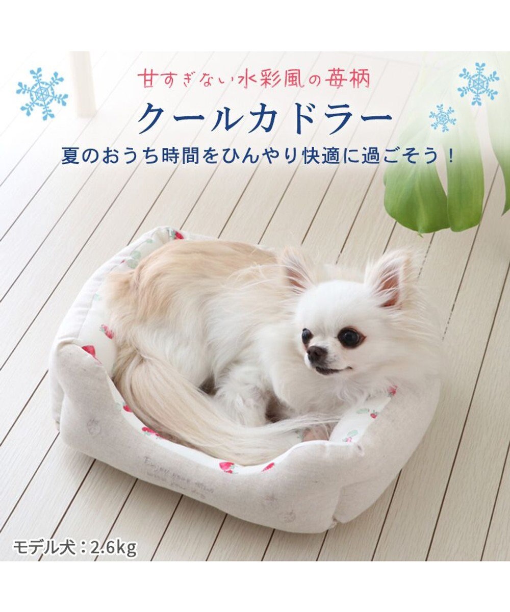 PET PARADISE 苺柄 四角型クール カドラーベッド（38cm） 