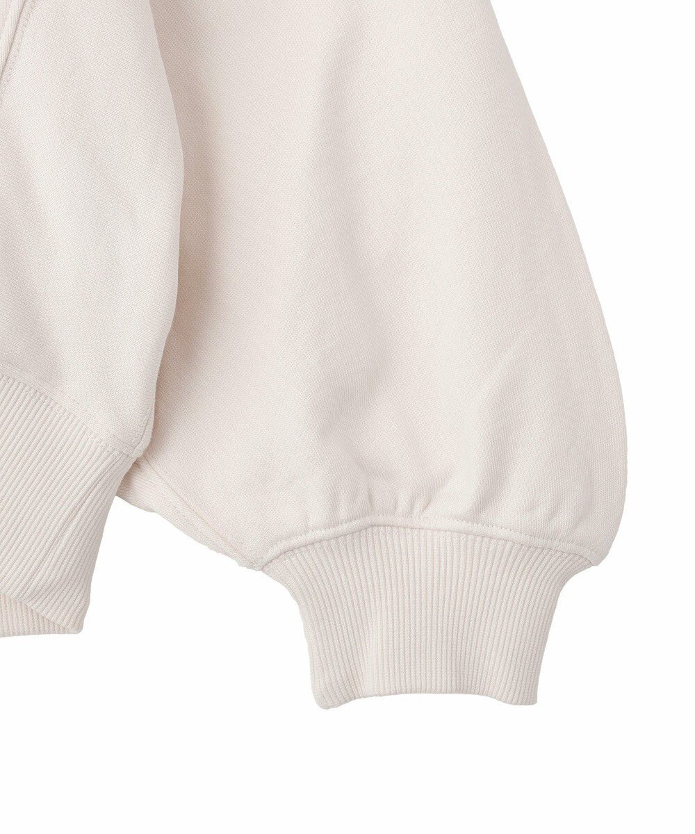 AMERICAN HOLIC カレッジロゴドルマンスウェット 