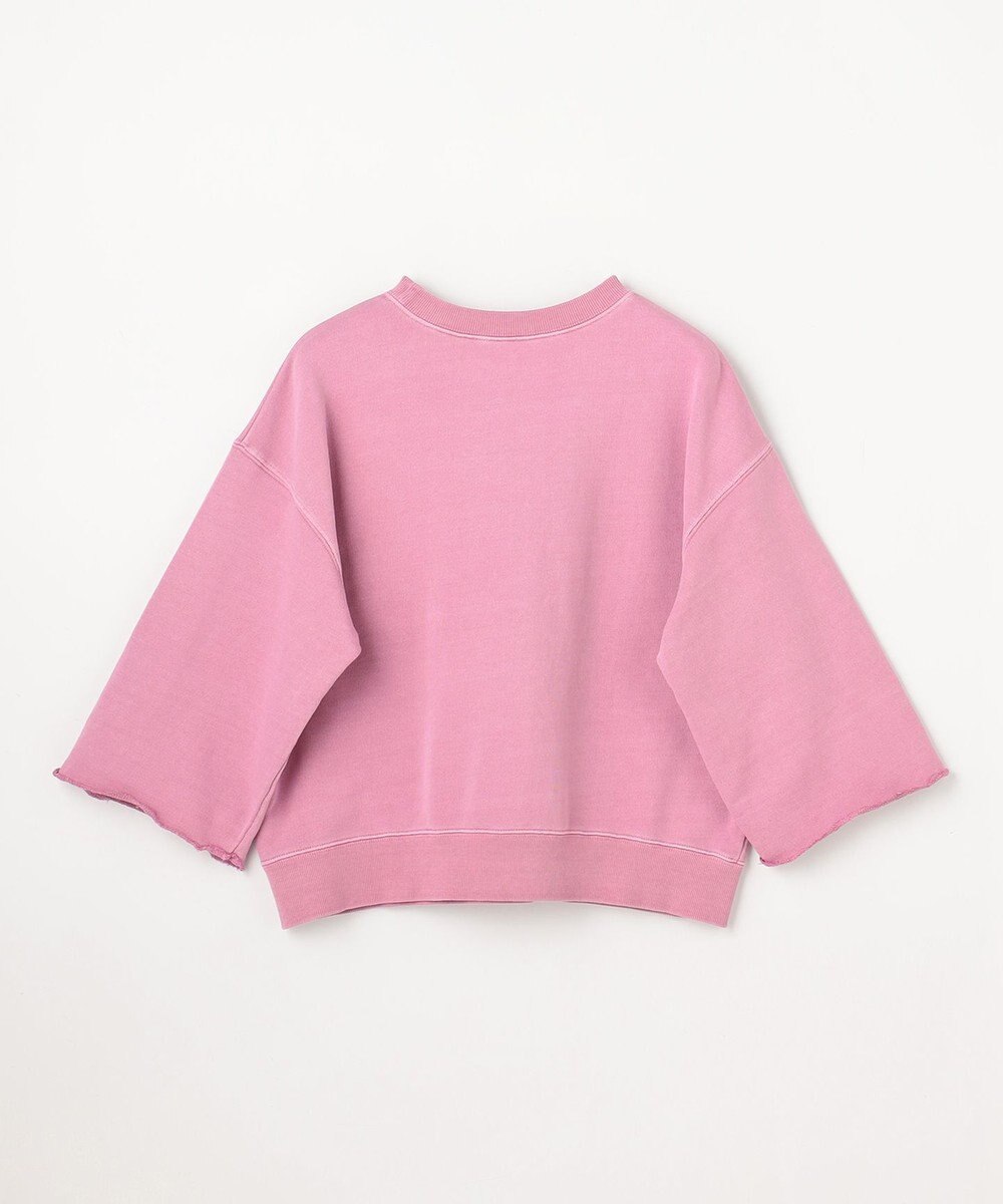 ANY ピグメントロゴスウェット 