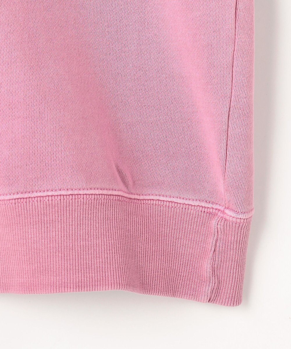 ANY ピグメントロゴスウェット 