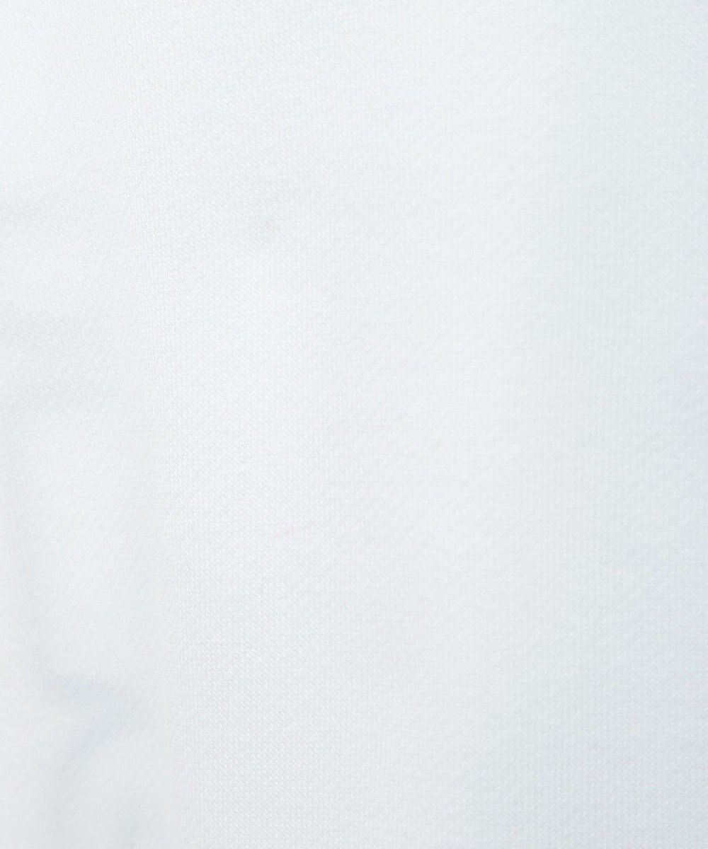 Green Parks １０ｔｈベイマックス／バック刺繍プルオーバー 