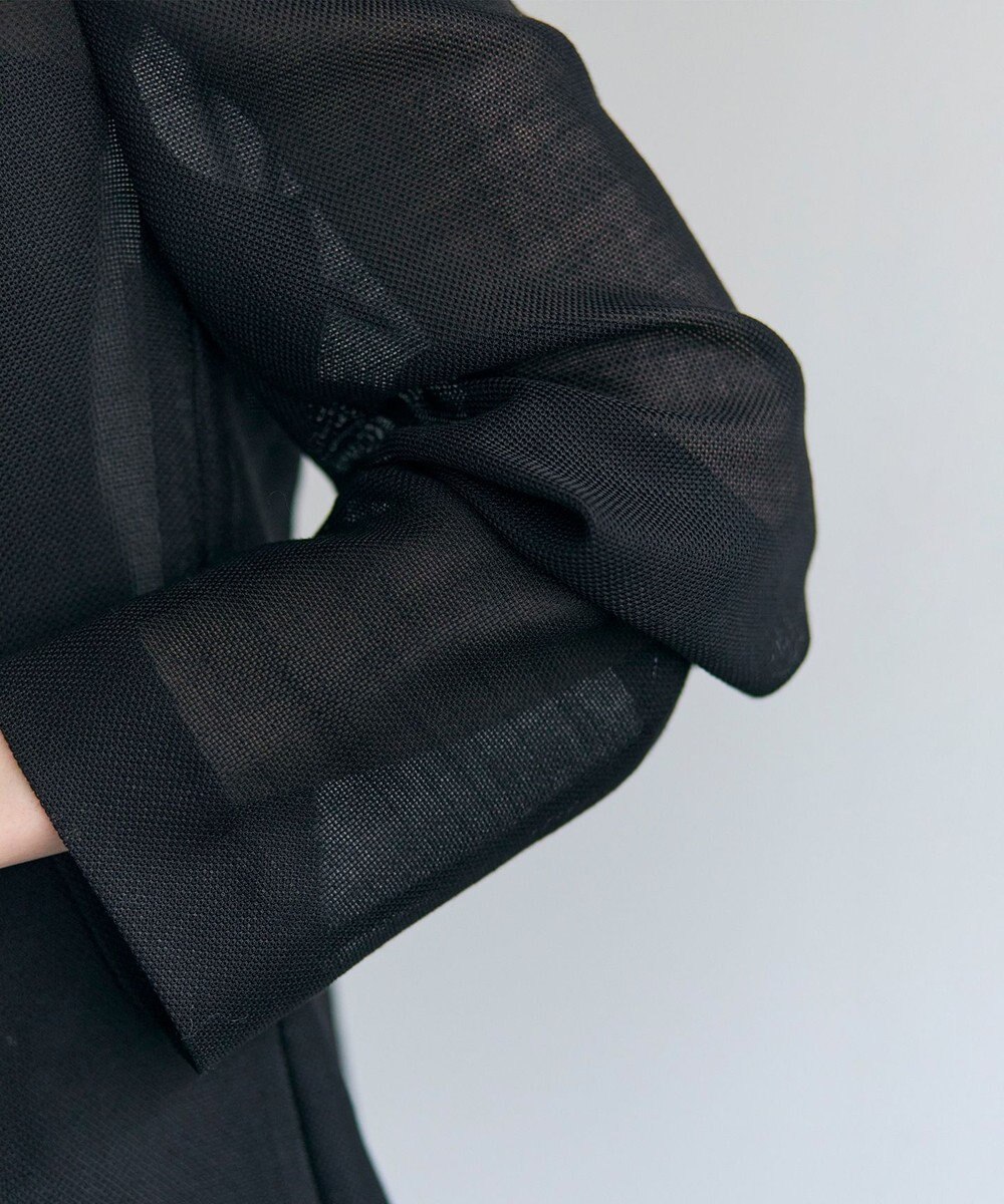 BEIGE， LIATRIS / シアー テーラードジャケット 