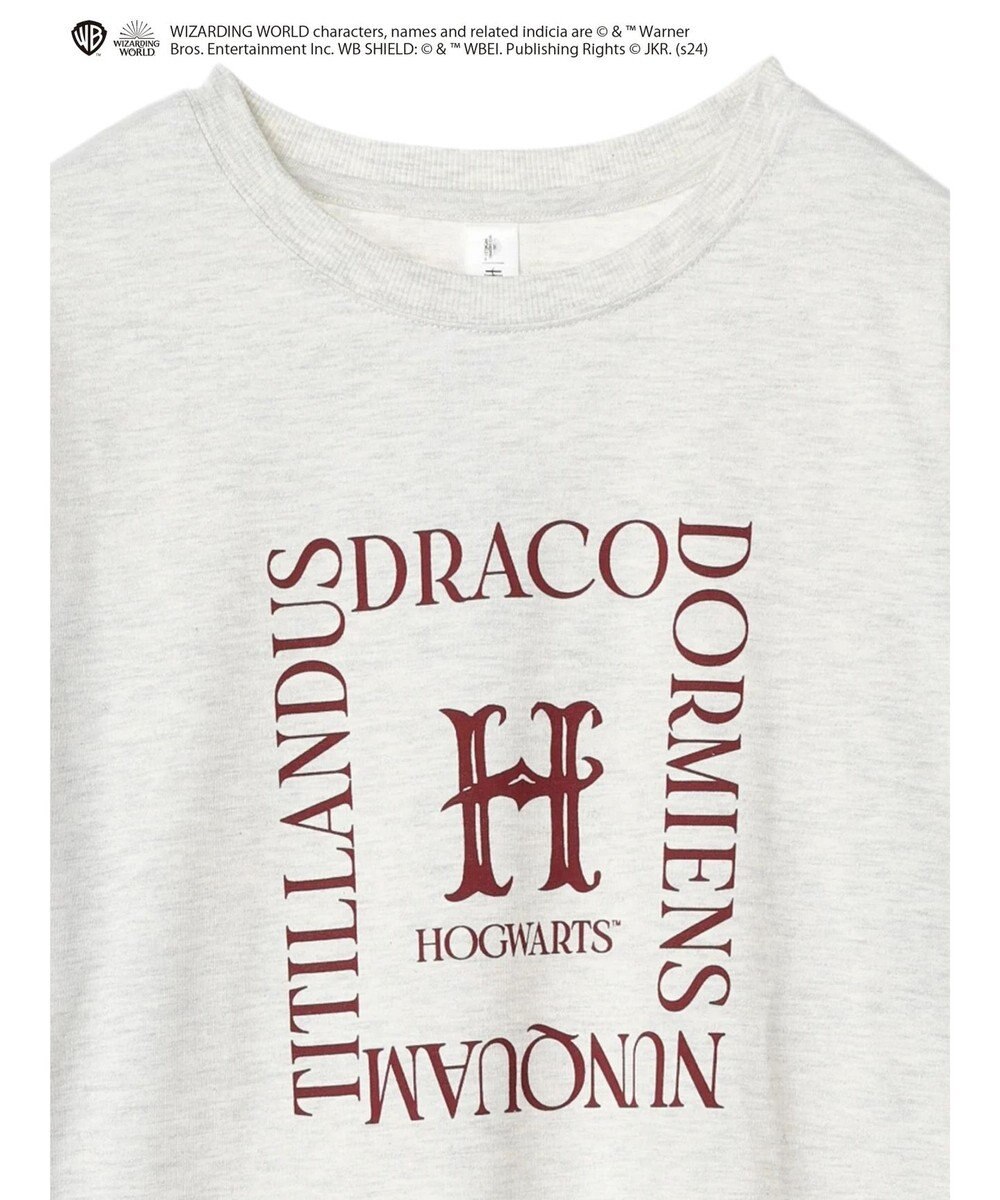 Green Parks ハリーポッター／ロゴロンＴ 