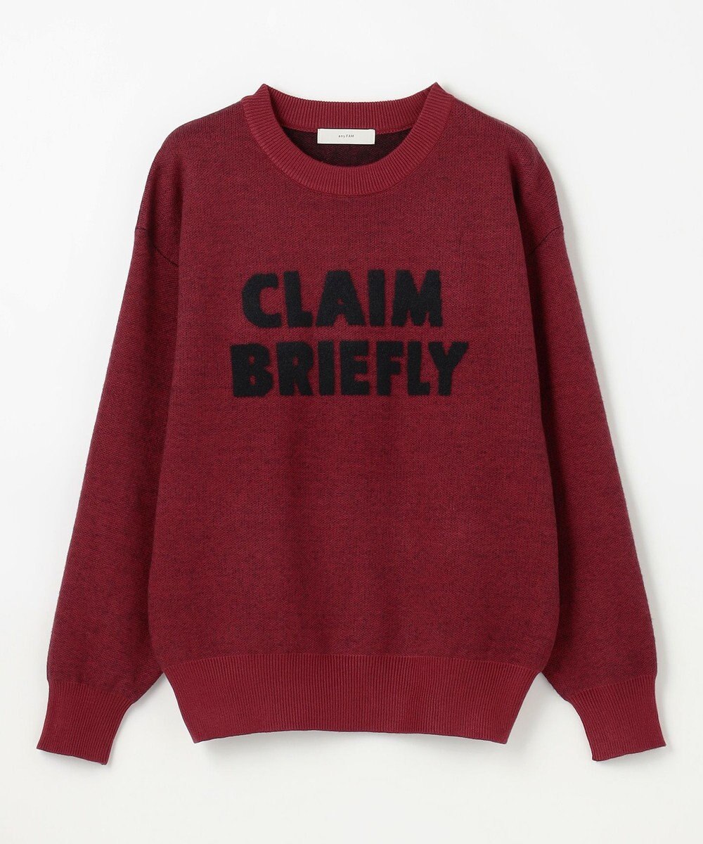 ANY スウェットライクフェザーロゴニット 