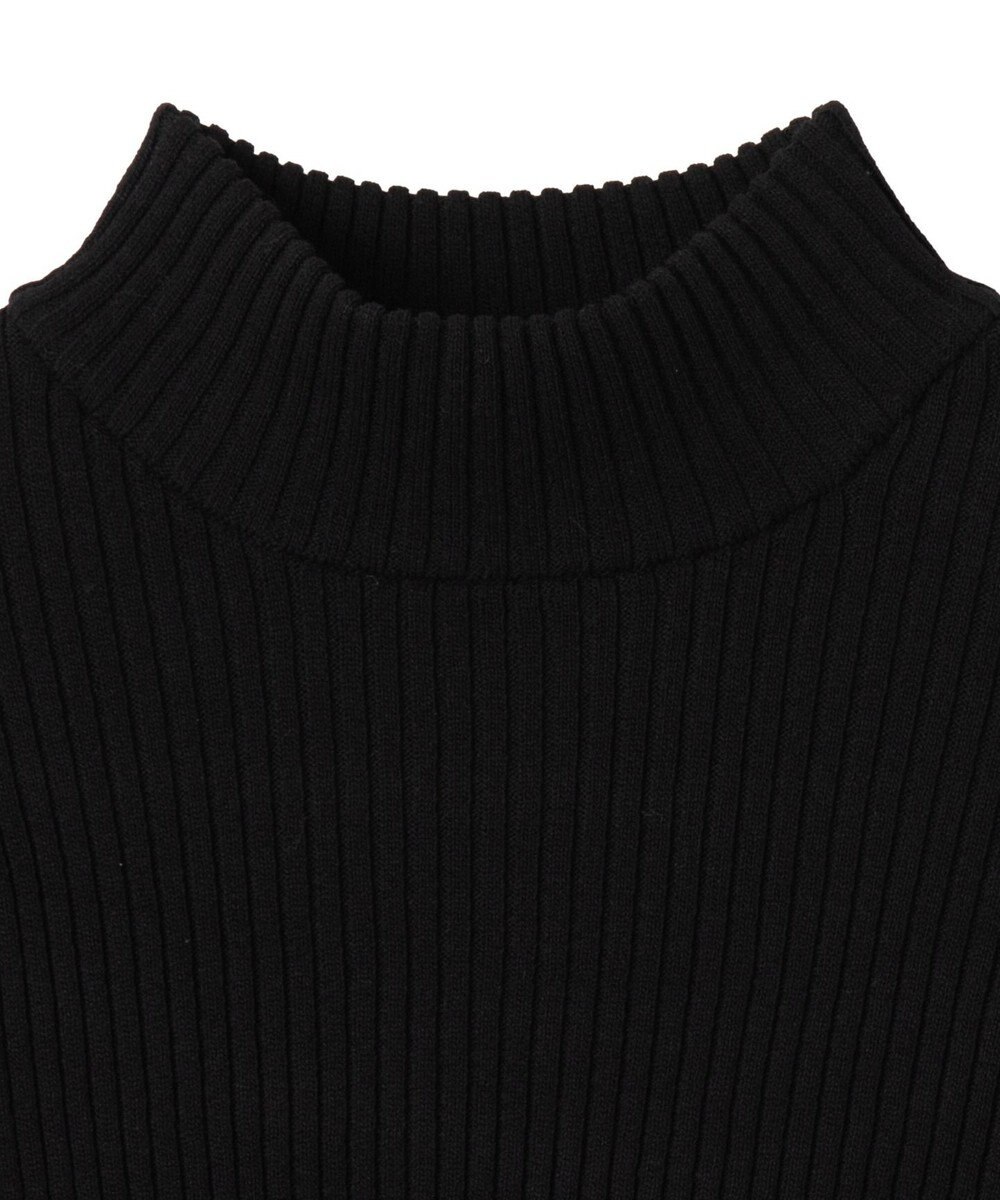 WEGO リブハイネックショートニット 